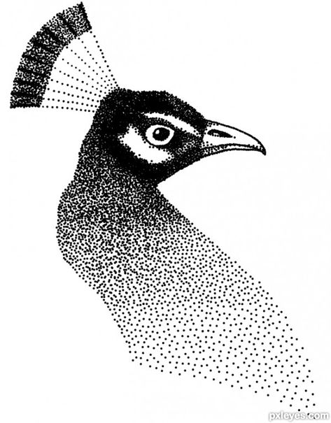 stippled toys | peacock dots - created by wooyuenfoo Simple Pointilism Art, Dot Stipple Drawing, Dot Rendering, Pointillism Animals, How To Do Pointilism Art, Dot Sketch, Animal Pointillism, Stipple Drawing, Dot Drawing