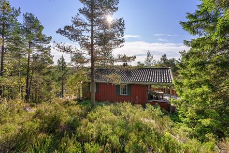 c.1976 Mountain Cabin For Sale in Norway Under $30K USD Norwegian Cabin, Cabins For Sale, Wrap Around Deck, Mountain Cabin, Painted Doors, Vaulted Ceiling, Two Bedroom, Norway, Terrace