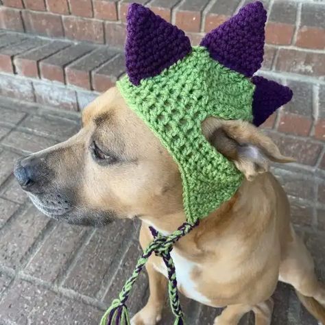 70 Crochet Dog Hat Patterns To Make Your Pet Look Super Cute - Cotton & Cloud Crochet Dinosaur Hat For Dog, Pet Hat Crochet Pattern, Crochet Animal Clothes, Crochet Dog Headband, Crochet Hats For Pets, Crochet Puppy Clothes, Pet Crochet Hat, Things To Crochet For Your Dog, Crochet Dog Shoes