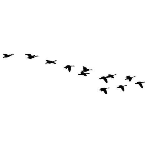 Geese Silhouette, Black Birds Flying, Bird Silhouette Tattoos, Goose Drawing, Goose Tattoo, Wine Barrel Crafts, Flying Bird Silhouette, Wood Tattoo, Fly Drawing