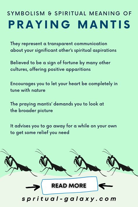 Praying Mantis Spiritual Meaning & Symbolism Praying Mantis Meaning Spirit Guides, Animal Correspondences, Praying Mantis Meaning, Praying Mantis Symbolism, Spirit Warrior, Spiritual Understanding, Spirit Animal Meaning, Native American Spirituality, Animal Meanings