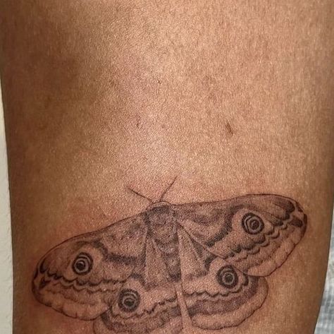 Fine Line Moth Tattoo, Atlas Moth Tattoo, Insect Tattoos, Moth Tattoos, Noir Tattoo, Atlas Moth, Insect Tattoo, Tattoo Butterfly, Back Of Neck Tattoo