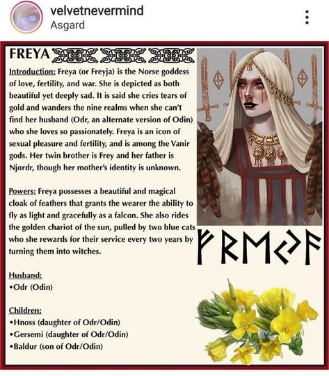 Freya Goddess Art, Norse Deities, Viking Goddess, Norse Goddess Of Love, Freya Goddess, Goddess Magick, Goddess Symbols, World Mythology, Norse Goddess