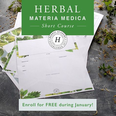 Herbal Academy, Cherry Bark, Membership Site, Wild Cherry, Alchemy, Free Printable, Free Printables, Pie Chart, Medicine