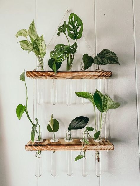 Indoor Plants Styling Boho, Hanging House Plants Indoor Decor, Test Tube Plant Wall, Test Tube Plants, Propagation Shelf, Diy Propagation Station, Wall Propagation Station, Test Tube Propagation, Test Tube Crafts