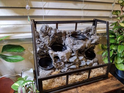 Diy Ecosystem, Ikea Terrarium, Bioactive Terrarium, Terrarium Wall, Mini Ecosystem, Ikea Greenhouse, Zen Corner, Open Terrariums, Indoor Water Garden