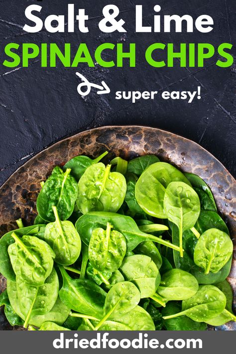 These spinach chips are a delicious mix of salt and zest. They're healthier than potato chips and super easy to make. If you're looking for a better dry snack for the kids or to take to work, you need to try these spinach chips! Spinach Chips, Salads For Picnics, Kid Friendly Salad, Vegetable Snacks, Vegetable Tray, Travel Snacks, Dry Snacks, Dehydrated Food, Chips Recipe