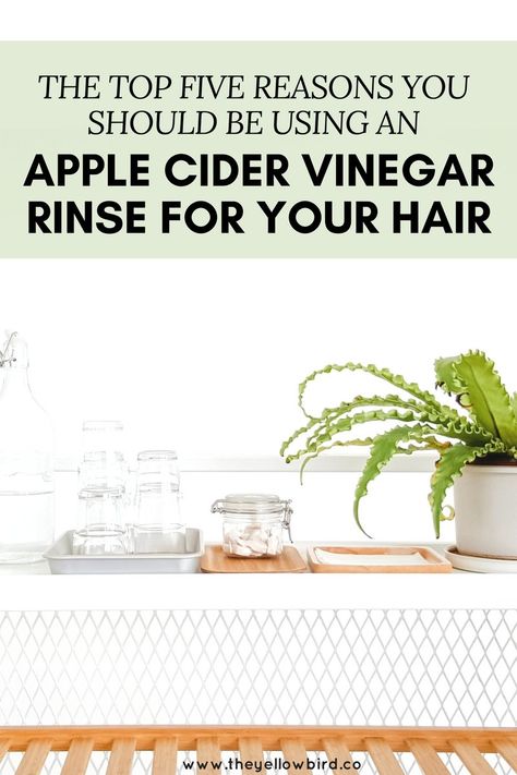 The Top 5 Reasons you Should be Using an Apple Cider Vinegar Rinse for Your Hair (and a DIY recipe!). You can also add a couple drops of your favorite essential oil to increase the power of this rinse. Acv Hair Rinse, Apple Cider Vinegar Hair Rinse, Acv Rinse, Vinegar Hair Rinse, Vinegar For Hair, Apple Cider Vinegar Rinse, Apple Cider Vinegar For Hair, Vinegar Rinse, Cold Sores Remedies