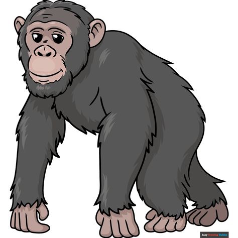 How to Draw a Chimpanzee Chimpanzee Drawing, New Drawing Ideas, Easy Drawing Guides, Drawing Steps, Drawing Guides, Easy Drawing Tutorial, New Drawing, Draw Two, Popular Cartoons