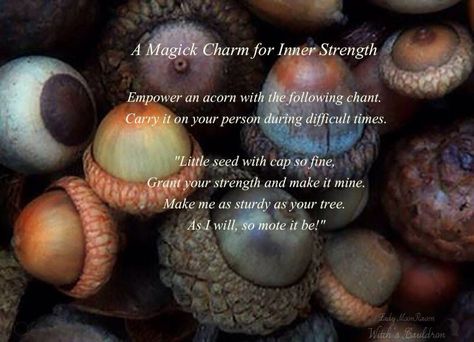 Acorns In Witchcraft, Acorn Spiritual Meaning, Acorn Witchcraft, Acorn Magic, Acorn Meaning, Babe Quote, Witch Life, Witch's Cauldron, Fall Magic