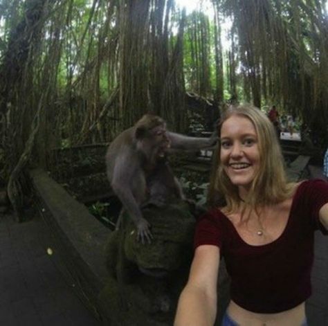 Monkeys do not like selfies. Funny Selfie, Funny Selfies, Taking A Selfie, Pet Monkey, A Monkey, Monkeys Funny, Primates, Koala Bear, Bones Funny