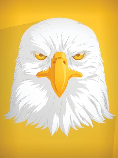 Eagle Head Hawk Falcon Cartoon Front View Closeup Vector Drawing Falcon Cartoon, Eagle Head Drawing, Drawing Eagle, Eagle Vector, Eagle Drawing, Head Drawing, Vector Character Design, Drawing Heads, Drawing Drawing