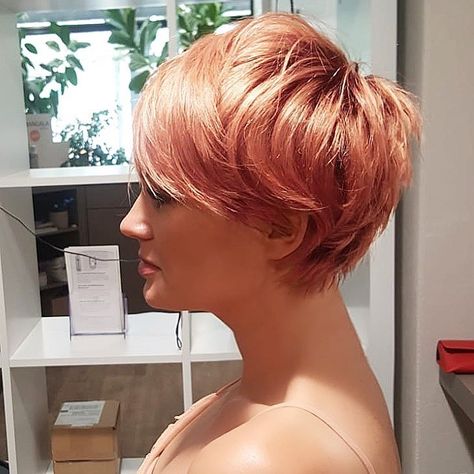 Rose Gold Pixie, Pixie Hair Color, Short Red Hair, Cool Short Hairstyles, Short Hair Color, Short Pixie Haircuts, Trending Hairstyles, Short Hair With Bangs, Blonde Pixie