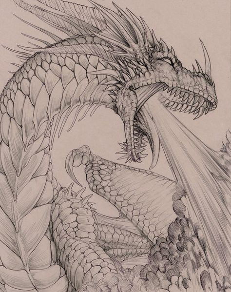 "Fire Breather" by hibbary via DeviantArt Dragon Fire Drawing, Full Body Dragon Drawing, Dragon Drawing Ideas Simple, Fire Dragon Drawing, Dragon Art Sketch, Dragon Art Drawing, Dragons Drawing, Fertility Goddess, Dragon Drawings