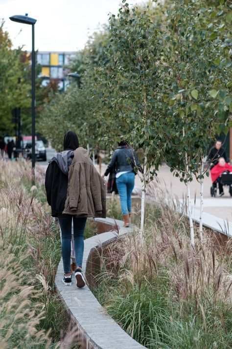 Urban Playground, Stormwater Management, New Urbanism, Best Architecture, House London, Park Landscape, Landscape Concept, Landscape Architecture Design, Community Park