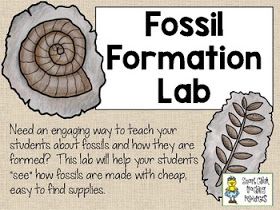 Fossil Games For Kids, Playdough Fossils, Fossils Lesson, Content Corner, Geology Activities, Fossils Activities, Archaeology For Kids, Rock Science, Stem Classroom