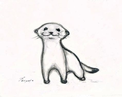 Cute Drawings Of Raccoons, Easy Ferret Drawing, Small Animal Sketches, Ferret Art Drawing, Easy Otter Drawing, Ferret Doodle, Ferret Sketch, Cats Drawing Sketches, Otter Drawing Simple