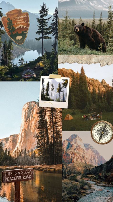 get outside and explore #nature #wallpaper #getoutside #breathe #explore #granola #nationalparks Granola Wallpaper, Granola Girl Wallpaper, Granola Aesthetic, Granola Girl Aesthetic, Nature Collage, Nature Vibes, Adventure Aesthetic, Granola Girl, Explore Nature