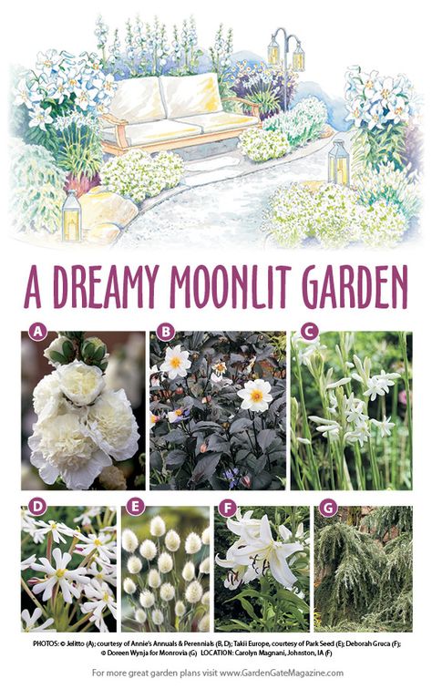 Compost Container, Moonlit Garden, Evening Garden, Goth Garden, Witch Garden, Garden Plan, Moon Garden, Night Garden, Have Inspiration