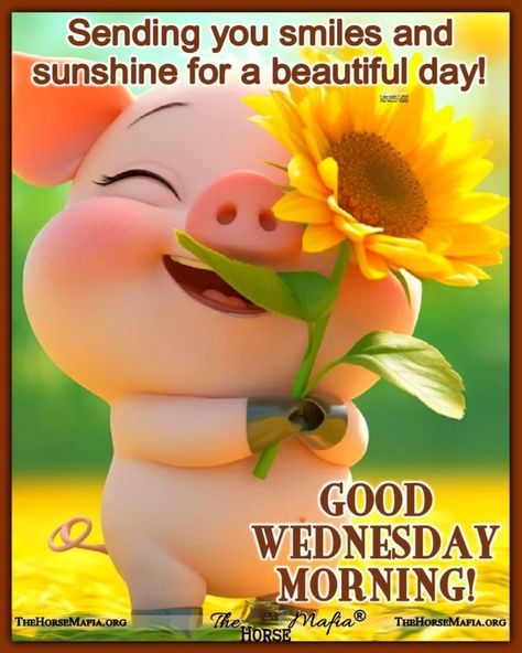 Good Wednesday Morning Good Morning Wednesday Gif, Wednesday Morning Images, Cute Good Morning Pictures, Good Wednesday Morning, Good Morning Happy Wednesday, Wednesday Morning Greetings, Wednesday Hump Day, Wednesday Morning Quotes, Christian Good Morning Quotes