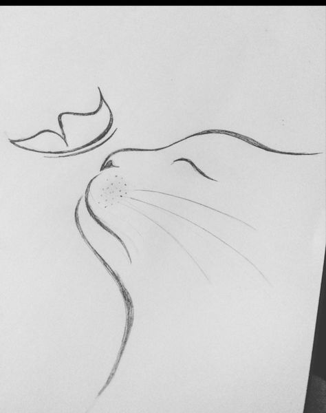 Cute Cat Sketch Easy, Easy Cat Drawing Simple, Easy And Simple Drawings, Cat Sketch Easy, Cute And Simple Drawings, Simple Easy Drawings, Cat Drawing Simple, Simple Cat Drawing, Pencil Sketches Easy