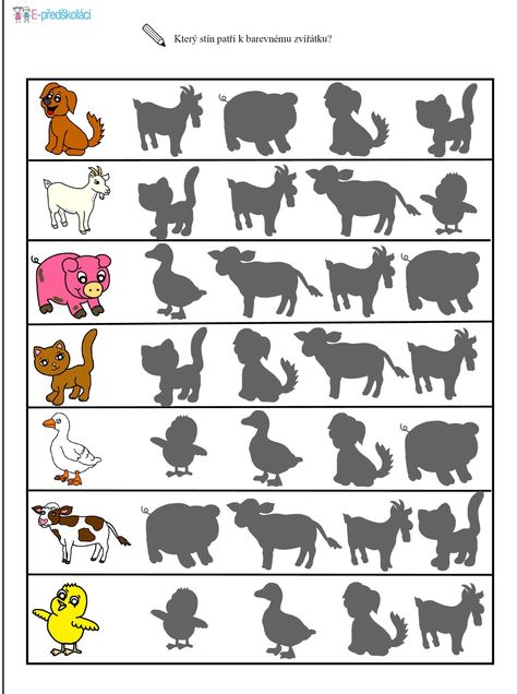 Shadow Worksheet, Shadow Activities, Farm Animals Preschool, Farm Clipart, Shadow Matching, Visual Perception Activities, Farm Preschool, Kids Worksheets Preschool, Preschool Math Worksheets