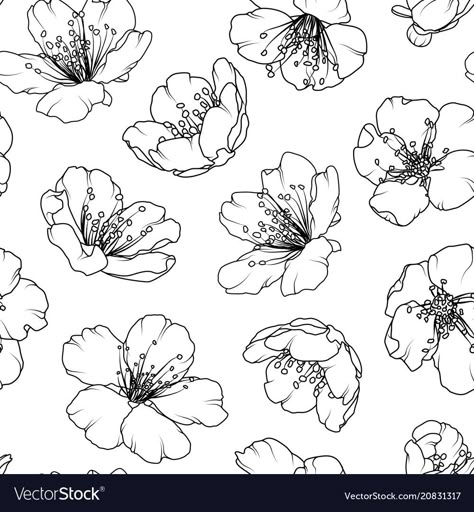 Cherry sakura blossom floral seamless pattern Vector Image Cherry Blossom Tree Sketch, Sakura Tree Drawing, Cherry Blossom Outline, Sakura Drawing, Sakura Illustration, Sakura Pattern, Sakura Design, Texture Illustration, Flower Blooming