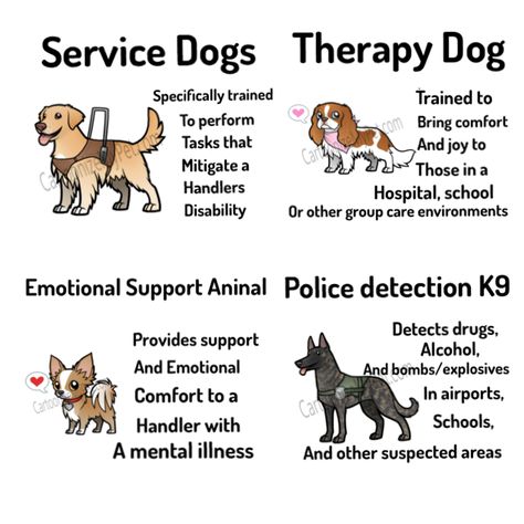 Service Dogs Drawings, Service Dog Drawing, Service Dog Training Tips, Service Dog Art, Service Dog Quotes, Small Service Dog, Service Dog Tasks List, How To Train A Service Dog, Mobility Service Dog Gear