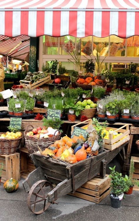 Travel Vienna, Farmers Market Display, From Farm To Table, Community Housing, Traditional Market, Market Garden, Market Displays, Local Farmers Market, Farm Stand