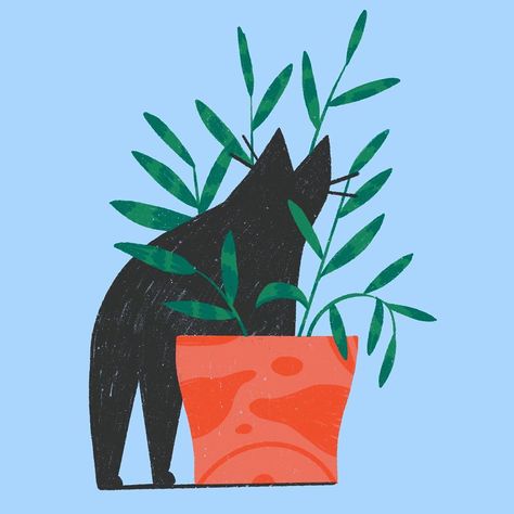 Frederique Matti sur Instagram : My cat is my muse 👉 swipe for cat — Digital in @procreate on iPad Pro — #illustrationartists #illustration #illustrator #procreate… Cat And Plants, Risograph Illustration, Cat Digital, Cat Power, My Muse, Retro Illustration, Drawing Artwork, Illustration Artists, Cat Illustration