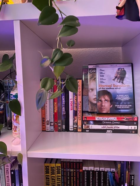 Dvd Storage Aesthetic, Dvd Collection Display, Dvd Display Ideas, Dvds Aesthetic, Dvd Collection Aesthetic, Movie Shelf, Dvd Shelf, Dvd Display, Dvd Rack