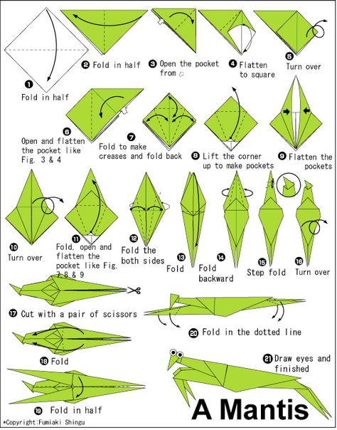 Praying Mantis: Biological Control – Garden Critter of the Month – Whisker Flowers Origami Printables, Origami Insects, Animal Origami, Origami Step By Step, Origami Diagrams, Origami And Kirigami, Origami Patterns, Folding Origami, Instruções Origami