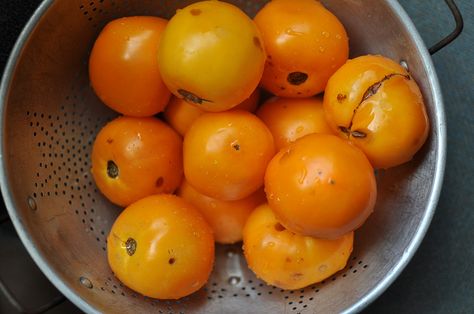 Orange Tomato Jam by Food in Jars - orange tomatoes, sugar, lemon, cider vinegar, chili flakes, ginger, smoked paprika, cayenne Orange Tomato Salsa, Orange Tomatoes Recipes, Tomatoes Jam, Orange Tomatoes, Food In Jars, Thumbprint Cookie, Italian Market, Tomato Jam, Tomato Season