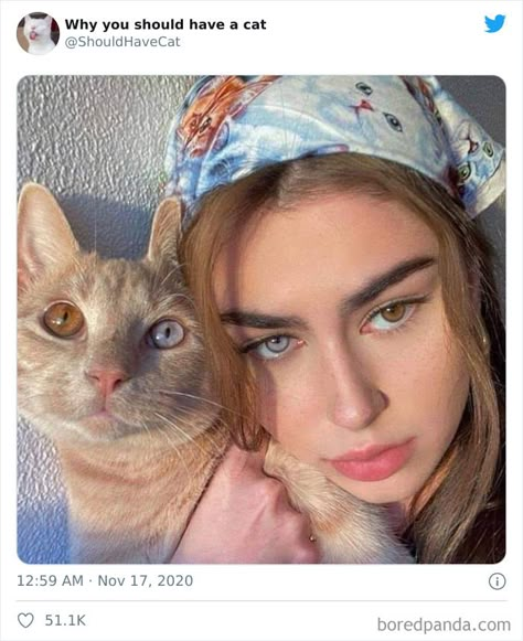 Heterochromia Eyes, Aesthetic Eyes, Pretty Eyes, Beautiful Eyes, Pretty People, Cute Cats, Cute Animals, Wattpad, Kitty