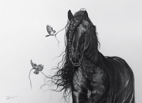 Friesian Horse Drawing, Gothic Horse Tattoo, Friesian Horse Tattoo, Friesian Horse Art, Horses Sketch, Horse Head Drawing, Horse Tattoo Design, Cool Nature, Horse Art Drawing