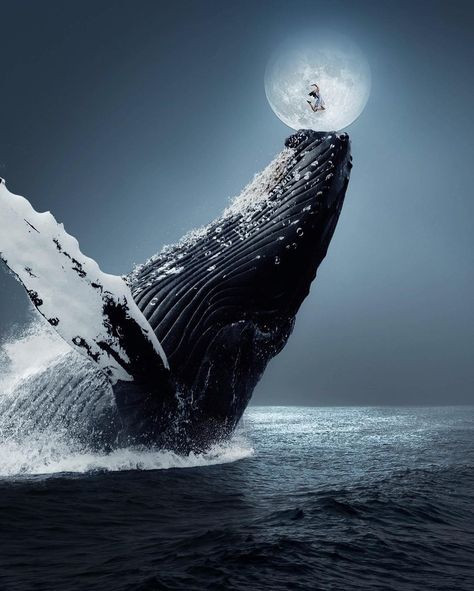 Dancing in the Full Moon. Surrealism Explored Through Photography . By Ted Chin. Whale Painting, Whale Art, Surrealism Photography, The Full Moon, Humpback Whale, Ocean Creatures, Marine Animals, Ocean Animals, Ocean Life