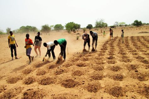 Tougou village in northern Burkina Faso has a challenging climate for farming. During the dry season, which lasts from November to May, the Harmattan blows — a dry, dusty wind coming in from the Sahara. Drought alternates with periods of flooding, sapping soil fertility and destroying crops. Despite the climate, villagers in Tougou have recently […] Land Degradation, Millennium Development Goals, Poverty And Hunger, Maternal Health, Primary Education, Sustainable Development Goals, Food Security, Environmental Science, Environmental Impact