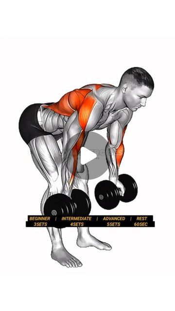 fitness boys on Instagram: "Best exercise for BACK 🔙 with dumbbells workout  #back #exercise #workout #fitness #reels" Dumbell Exercises Men, Back Exercises With Weights, Back Workout Dumbell, Dumbell Back Workout, Back Workout With Dumbbells, Back Exercises For Men, Dumbbell Back Exercises, Upper Back Workout, Back Workout For Men