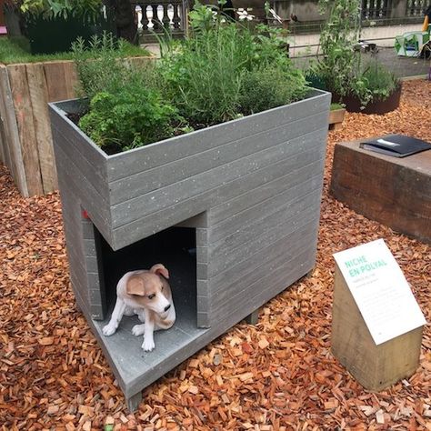 Diy Dog Feeder Outdoor, Diy Dog House Outdoor, Outdoor Dog House Ideas, Homemade Dog House, Cottage Dog, Dog Agility Course Diy, Dog Mansion, Outdoor Dog Runs, Outdoor Dog Area