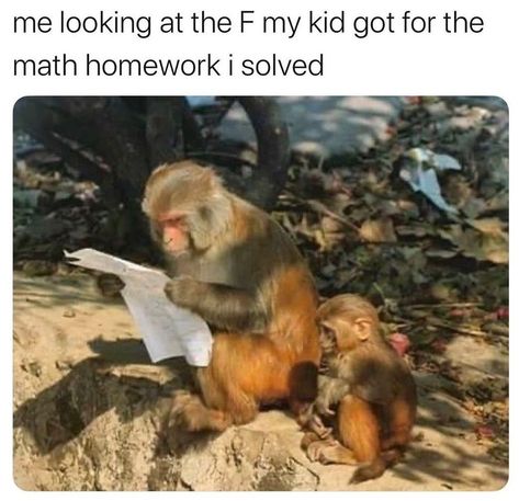 ME LOOKING AT THE "F" MY KID GOT FOR THE MATH HOMEWORK I SOLVED #parentfail #parenting Homework Meme, Good Laugh Quotes, Mommy Memes, Homework Humor, Laughing Quotes, Math Homework, Best Memes, Funny Posts, Memes Quotes