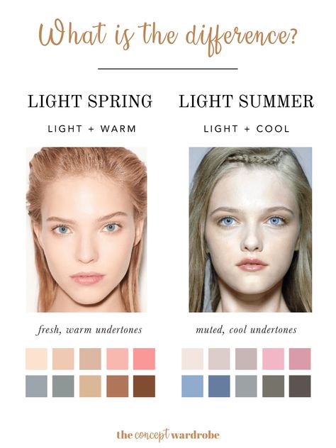 the concept wardrobe | Light Springs may be confused with Light Summers, since both sub-seasons’ dominant characteristic is 'light'. Both also have a low contrast between hair, skin, and eyes. The distinguishing characteristic between them is their secondary characteristic – Light Spring is 'warm', whereas Light Summer is 'cool'. Light Spring features have warm undertones with golden and peach pigments. Light Summer, on the other hand, has cool undertones with light blue and grey pigments. Spring Skin Tone, Light Spring Palette, The Concept Wardrobe, Summer Skin Tone, Light Spring Color Palette, Light Summer Color Palette, Concept Wardrobe, Spring Skin, Wardrobe Light