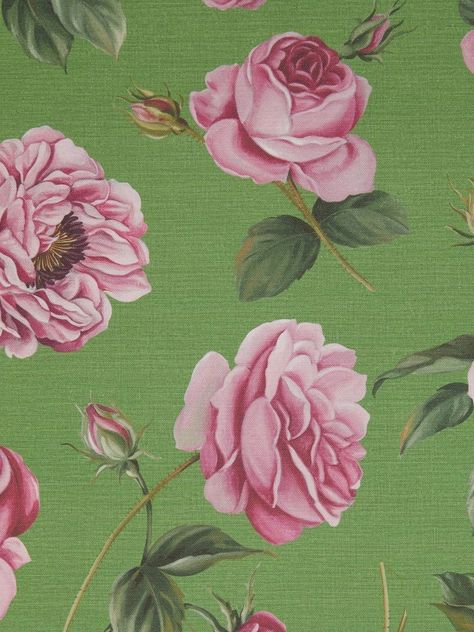 Gucci English Rose Print Wallpaper - Farfetch Gucci Tiger Wallpaper, Gucci Wallpaper, Gucci Tiger, Tiger Wallpaper, Blossom Garden, Green Theme, Luxury Wallpaper, English Rose, English Roses