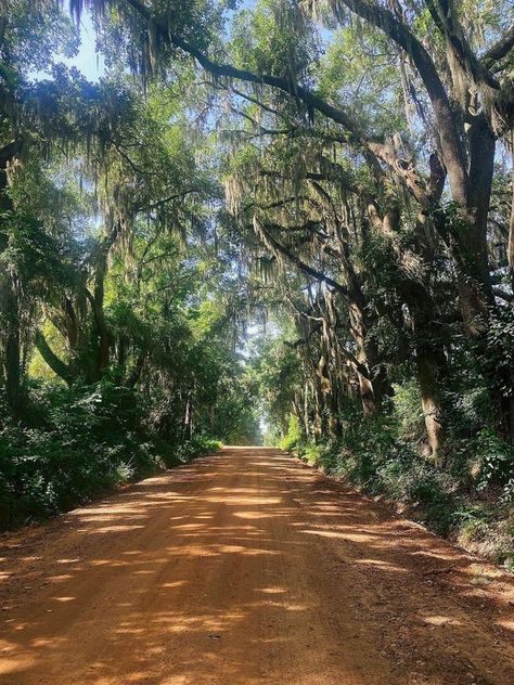 Dirt Roads | Valdosta Georgia | Facebook