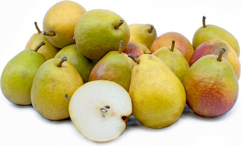 Seckel Pears Information, Recipes and Facts Seckel Pear Recipes, Choy Sum, Ghost Plant, Bell Pepper Recipes, Old Orchard, Kaffir Lime, Pear Trees, Beet Recipes, Artichoke Recipes