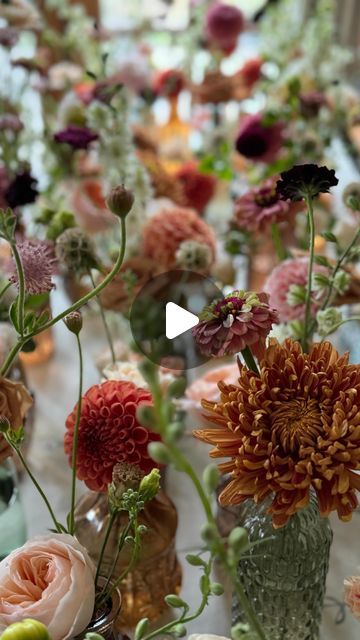 Marcia Davis on Instagram: "Say it’s Fall but do it with flowers 🍂🌷 This fall color story was so dreamy and yesterday’s wedding was absolute Autumn bliss. I thought I should recreate my viral bud vase reel but with a Fall twist. Happy Fall friends 💨🍂🌷  Oh and cardigans as the sound 🫢- um , cute. Get it? Cardigans???? And Fall? 👌🧣🍁🍂  #weddings #fallwedding #weddingflowers #wedding #weddingflorals #budvases #weddingflorist" Fall Bud Vases Wedding, Wedding Bud Vases, Wild Flowers Wedding, Bud Vases Wedding, Fall Friends, 2025 Wedding, Wedding Vases, Fall Weddings, Color Story