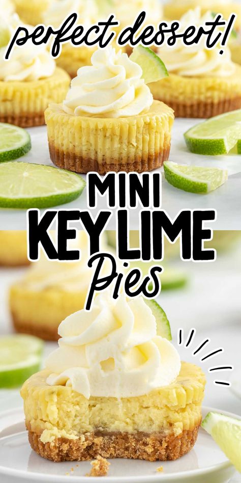 Mini Key Lime Pie, Key Lime Pie Bites, Key Lime Cheesecake Recipe, Key Lime Filling, Key Lime Pies, Mini Key Lime Pies, Mini Pie Crust, Dessert Summer, Individual Pies