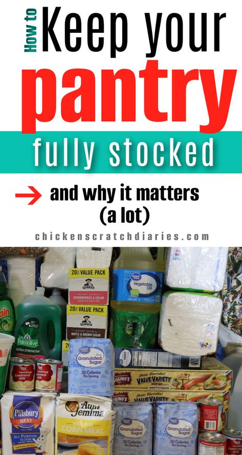 Stacks of grocery and household items with text "How to keep your pantry fully stocked and why it matters (a lot)" Stocking Your Pantry, Fully Stocked Pantry, Pantry Stock, Grocery Staples, Shopping Checklist, House Pantry, Fun Diy Projects, Pantry Ideas, Household Organization