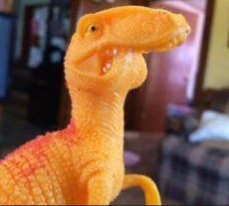 Dinosaur Reaction Pic, Dino Reaction Pic, Dino Pfp, Silly Dinosaur, Dinosaur Aesthetic, Dinosaur Meme, Funny Dinosaurs, Dinosaur Photo, Dinosaur Train