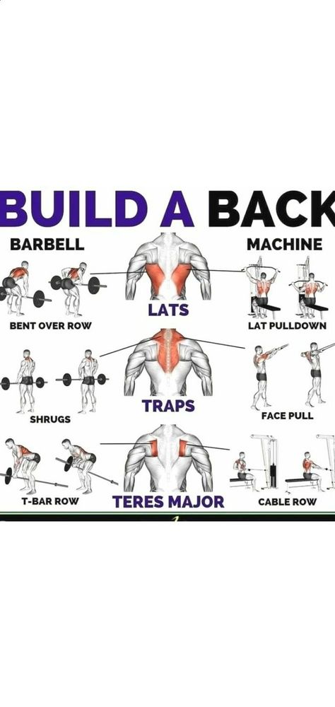 Lat Pulldown Exercises, Pull Workout, Back And Shoulder Workout, Shoulder Workouts, T Bar Row, Cable Row, Face Pulls, Lat Pulldown, Exercise Tips