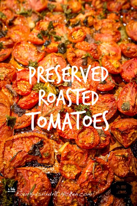 Roasted Tomato Recipes, Freezing Tomatoes, Plant Greenhouse, Tomatoes In Containers, Preserving Tomatoes, Oven Roasted Tomatoes, Tomato Dishes, Growing Tomatoes In Containers, Cooking Stuff